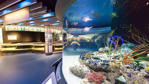 The National Aquarium in Baltimore