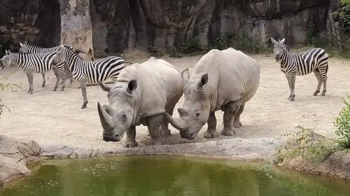Baltimore’s Maryland Zoo